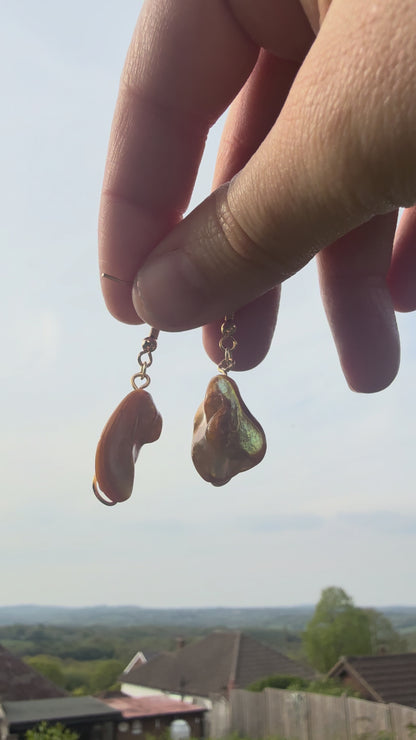 Gold Plated Dyed Shell Dangle Earrings